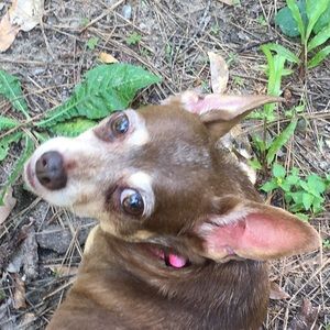 Meet your Posher, Cindy